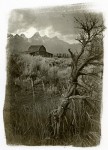 wild_west_004