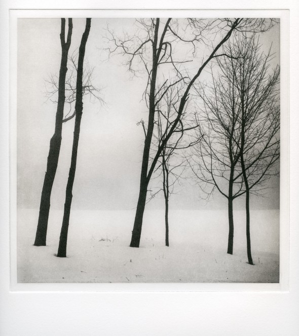 Camden Street Trees, 2014. iPad capture, photogravure print made 23-Apr-14.