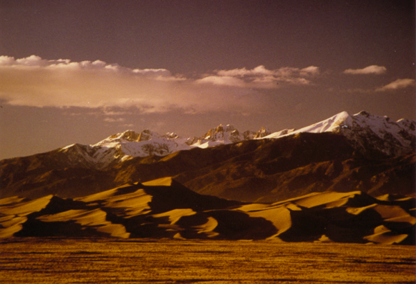 dunes