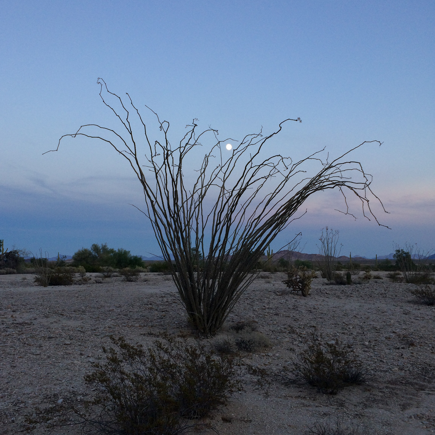 Camping/Photography Trip with Mark Klett