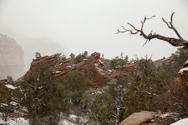 Ted, a visitor from the Netherlands, hops down off a rock along the Canyon Overlook Trail in Zion National Park.