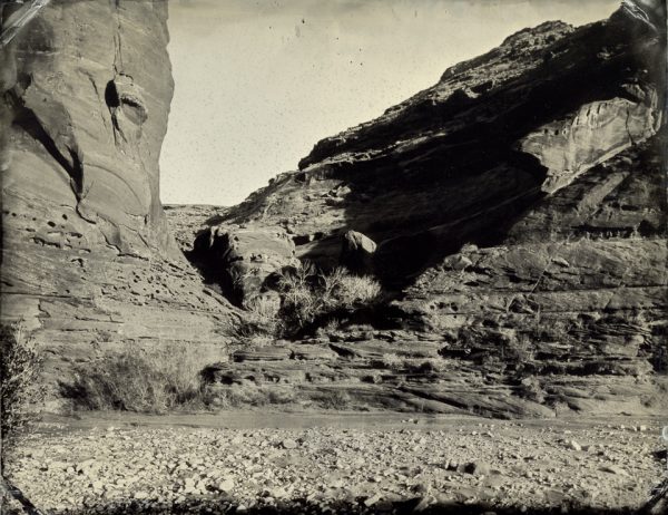 A lone tree stands at the entrance to a small canyon near the Hogs Springs picnic area.