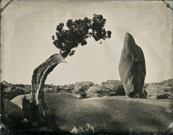 Joshua Tree National Park