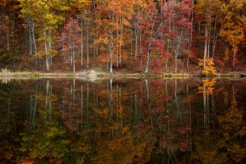 Waverly to Tipp City, Ohio