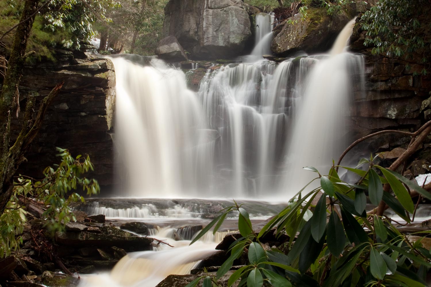 Elakala Falls, Blackwater Falls State Park