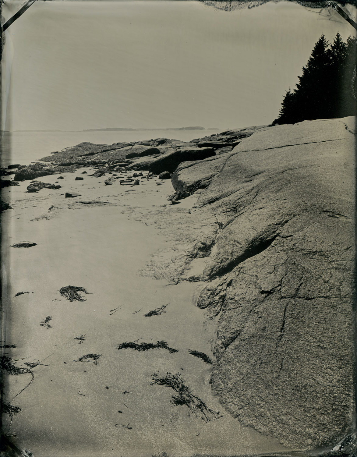 Birch Point State Park, Tintypes, 3.5 x 4.5 inches