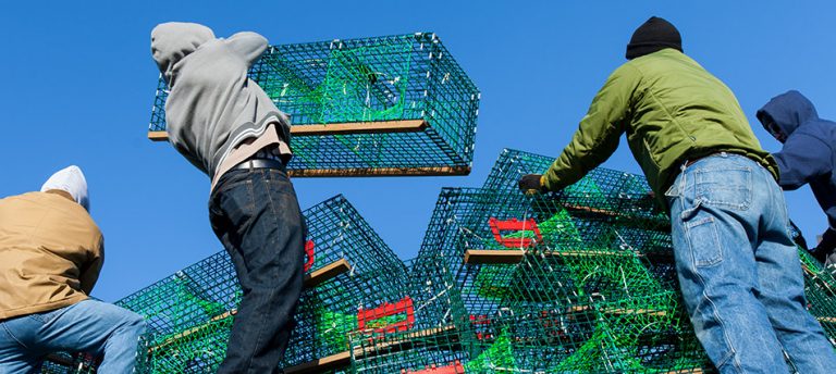 Read more about the article Rockland Lobster Trap Christmas Tree