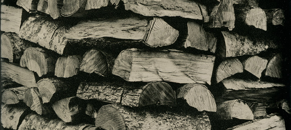 Read more about the article John’s Woodpile