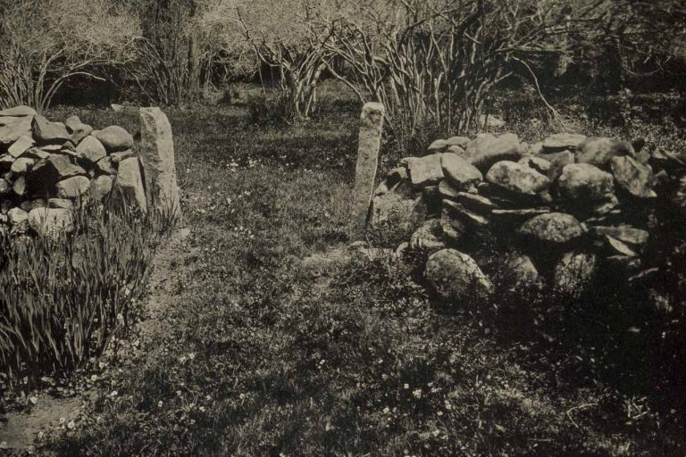 Read more about the article Owl’s Head Tintypes