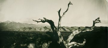 Great Sand Dunes National Park Tintype
