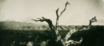 Great Sand Dunes National Park Tintype