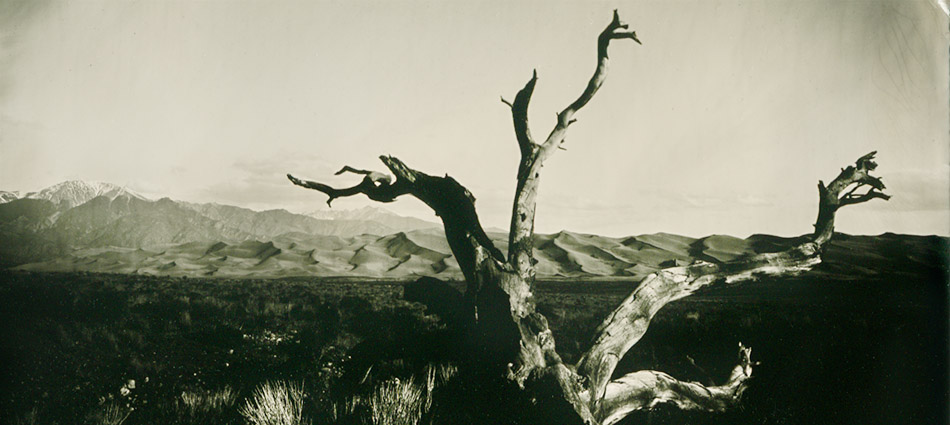 Read more about the article Great Sand Dunes National Park Tintype