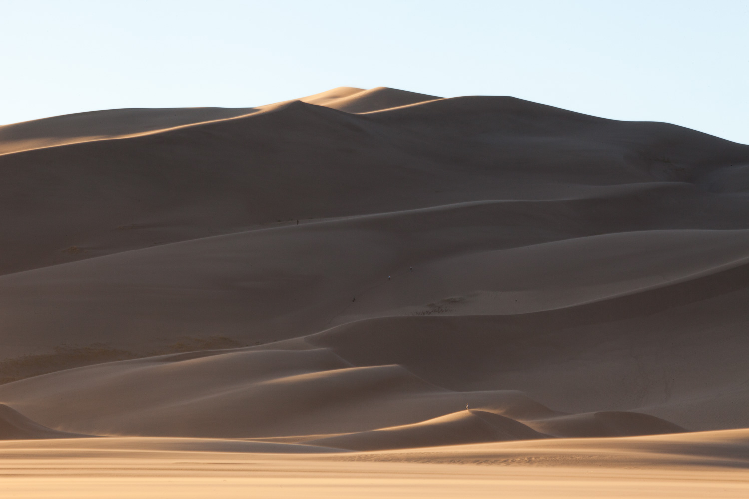 There is a person standing on the lower dune near the center, to give a sense of scale. The dunes are fuzzy not because of a lack of focus, but because there is a layer of sand blasting over the ridges in the wind.