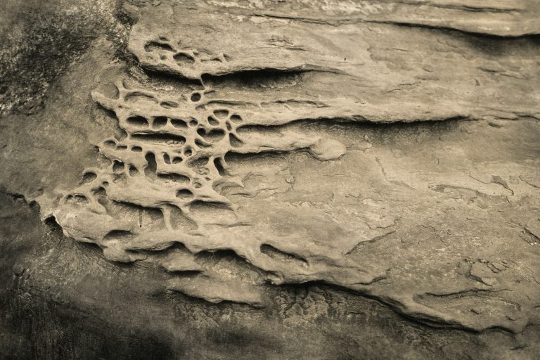 Read more about the article Great Tintype Adventure of 2018