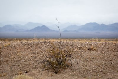 The Mojave