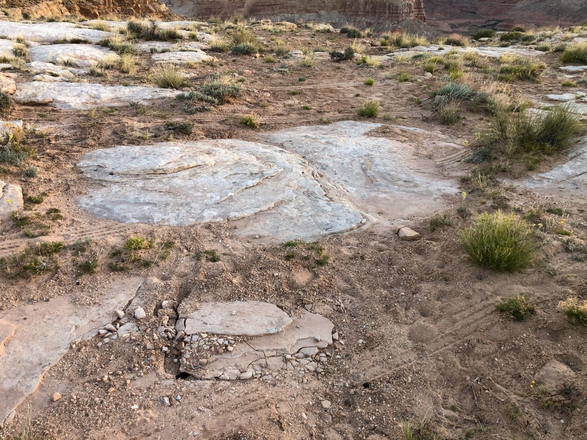 Asshole tracks across the desert.