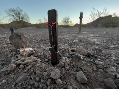 Albert the Desert Sprite