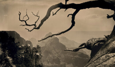 Tintype photograph of the Grand Canyon, Arizona, as viewed from the north rim looking south.
